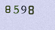 Visual Confirmation Security Code