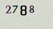Visual Confirmation Security Code