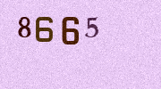 Visual Confirmation Security Code
