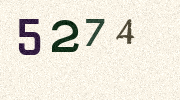 Visual Confirmation Security Code