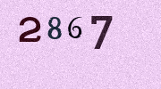Visual Confirmation Security Code