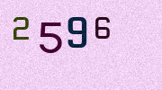 Visual Confirmation Security Code