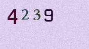 Visual Confirmation Security Code