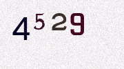 Visual Confirmation Security Code