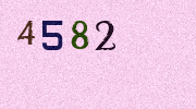 Visual Confirmation Security Code