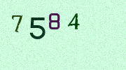 Visual Confirmation Security Code