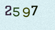 Visual Confirmation Security Code