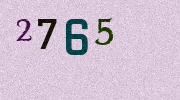 Visual Confirmation Security Code