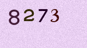 Visual Confirmation Security Code