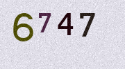 Visual Confirmation Security Code