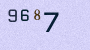 Visual Confirmation Security Code