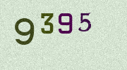 Visual Confirmation Security Code