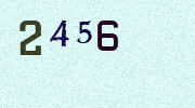 Visual Confirmation Security Code