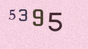 Visual Confirmation Security Code