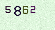 Visual Confirmation Security Code