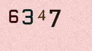 Visual Confirmation Security Code