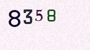 Visual Confirmation Security Code