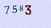 Visual Confirmation Security Code