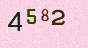 Visual Confirmation Security Code