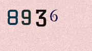 Visual Confirmation Security Code