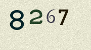 Visual Confirmation Security Code