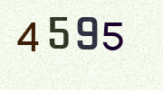 Visual Confirmation Security Code