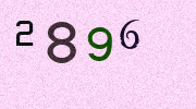 Visual Confirmation Security Code