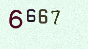 Visual Confirmation Security Code