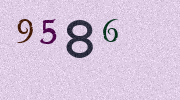 Visual Confirmation Security Code