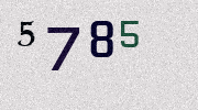 Visual Confirmation Security Code