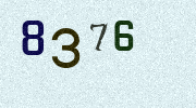Visual Confirmation Security Code