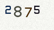 Visual Confirmation Security Code