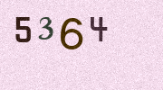 Visual Confirmation Security Code