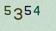 Visual Confirmation Security Code