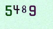 Visual Confirmation Security Code