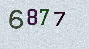 Visual Confirmation Security Code