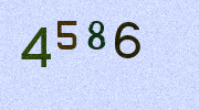 Visual Confirmation Security Code