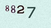 Visual Confirmation Security Code