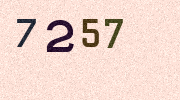 Visual Confirmation Security Code