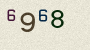 Visual Confirmation Security Code