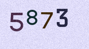 Visual Confirmation Security Code