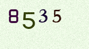 Visual Confirmation Security Code