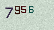 Visual Confirmation Security Code