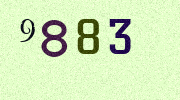 Visual Confirmation Security Code