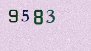 Visual Confirmation Security Code
