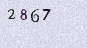 Visual Confirmation Security Code