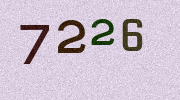 Visual Confirmation Security Code