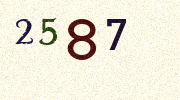 Visual Confirmation Security Code