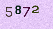 Visual Confirmation Security Code
