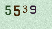 Visual Confirmation Security Code